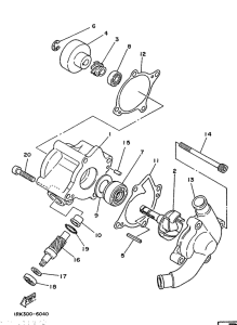 TZ250S/TZ250 Waterpump