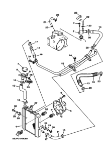 YP250C ﾗｼﾞｴﾀ & ﾎｰｽ