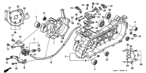 SFX50SMM Crankcase / oil pump