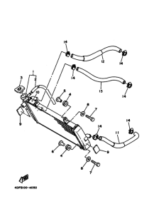 TZ250 Радиатор hose