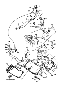 XP500 Радиатор и шланг