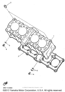 YZF600RGC Цилиндры