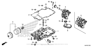 CRF1000D (ABS) Oil Pan + Oil Pump