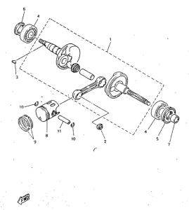 YN50 Ciguenal. pisttn