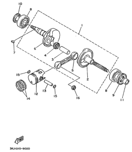 CY50 Ciguenal. pisttn