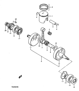 TS250 Вал коленчатый