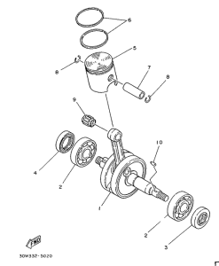RD75LC Ciguenal. pisttn