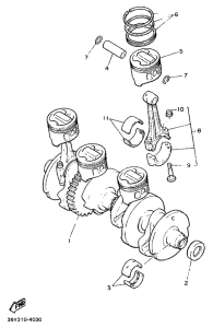 FJ1200 Ciguenal. pisttn
