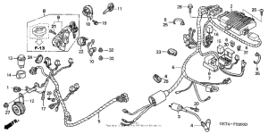 CHF50A Жгут проводов