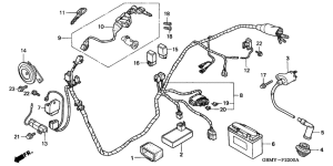 SFX50 Wire harness /  ignition coil / battery