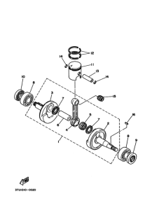 TZ50 ｸﾗﾝｸｼﾔﾌﾄ. ﾋﾟｽﾄﾝ