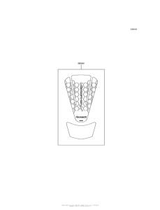  Accessory (Tank-Pad)