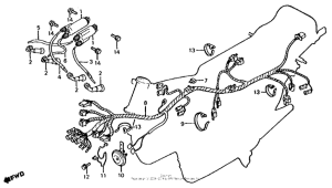 CB650 Wire harness + ignition coil