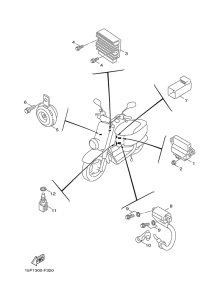XF50 Электрика 1