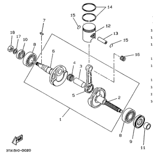 CW50 Коленчатый вал и поршни
