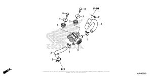 CRF1000D (ABS) Air Injection Solenoid Valve