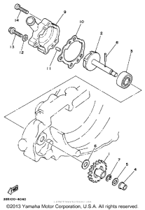 YZ250T Водяной насос