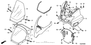 NSS250 (ABS) Front cover + windscreen
