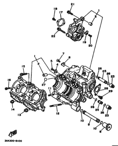 TZ250 Картер двигателя
