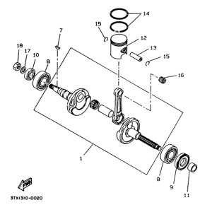 CW50 Коленчатый вал и поршни