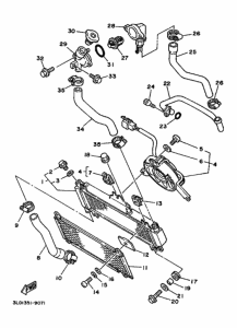 XTZ750 XTZ750B Радиатор hose