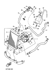XQ125 Радиатор и шланг