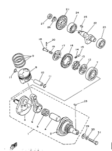 SR125 Ciguenal. pisttn