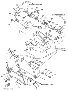 TDM850 Radiador . manguela