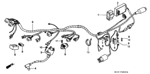 NSR50R Wire harness /  ignition coil