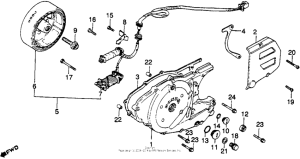 XR250R Left crankcase cover + alternator