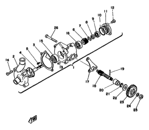 TZ250F Водяной насос