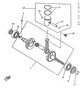 CW50RSX Коленвал и поршень