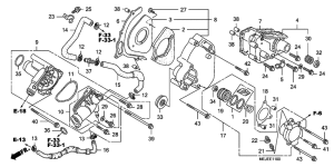 CB1300 Left rear cover / water pum p