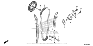  Cam Chain + Tensioner