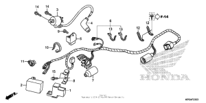  Жгут проводов