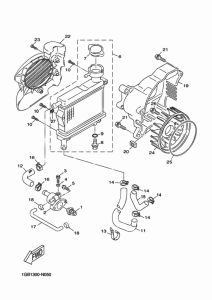 NS50F Radiator & hose
