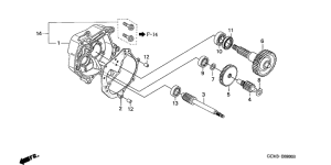SZX50 Трансмиссия