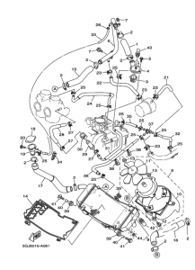 XP500 ﾗｼﾞｴﾀ. ﾎｰｽ