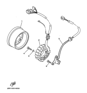 TW125 Генератор