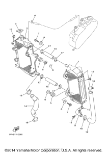 WR250FP Радиатор и Патрубки