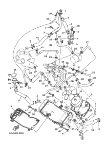XP500C ﾗｼﾞｴﾀ & ﾎｰｽ
