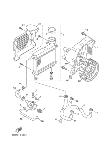 XF50 Radiator & hose