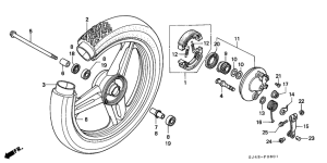 SH75D Transom + tube