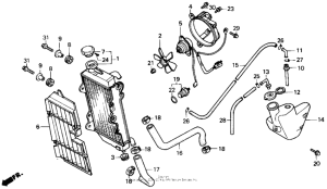 NX250 Радиатор