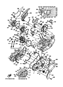 MT01 Crankcase cover ass`y  (v