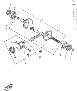 YQ50 Ciguenal. pisttn