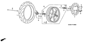SZX50 Transom + tube