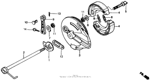 XR250R Rear brake panel 84-89