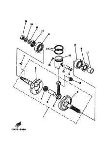 CJ50ES ｸﾗﾝｸｼﾔﾌﾄ. ﾋﾟｽﾄﾝ