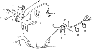 TL125 Wire harness + ignition coil